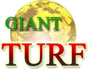 Giant Turf