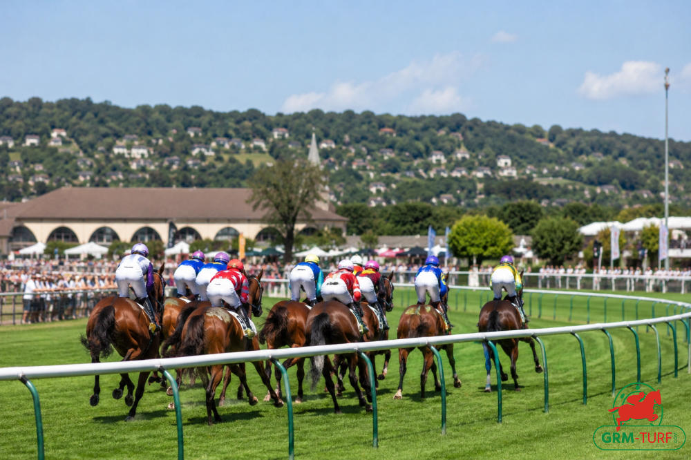 Le 15, Sayville, est non partant dans le quinté de Deauville le dimanche 30 août 2026