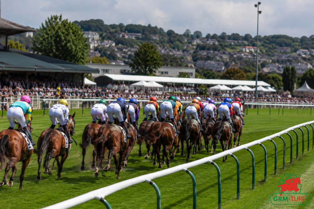 Le 5, Kraskhov, est non partant dans le quinté de Deauville le mardi 1er septembre 2026