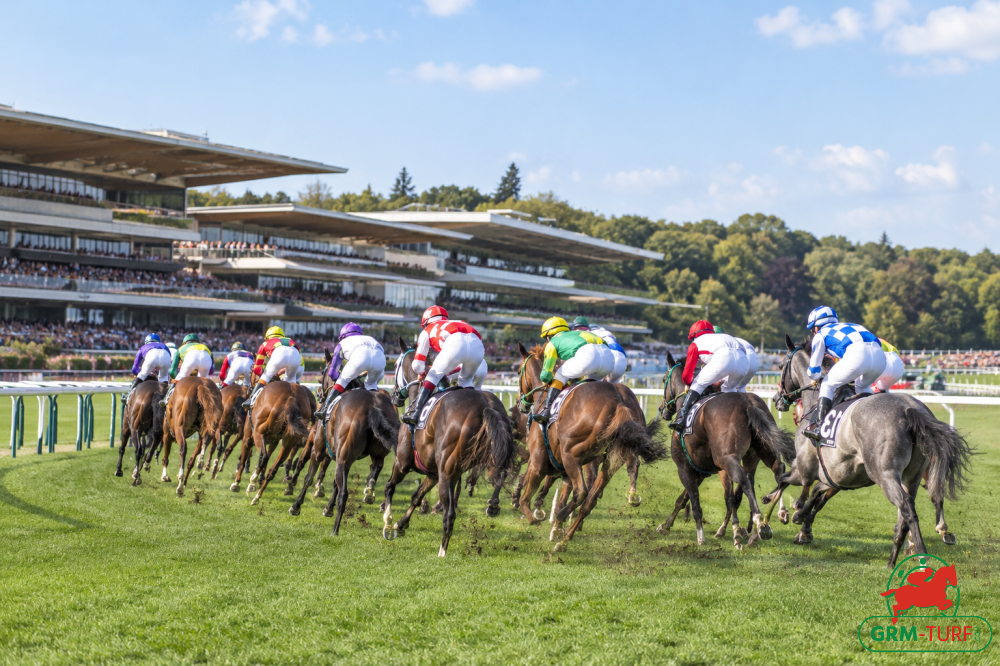 Le quinté aura lieu à Longchamp le dimanche 18 octobre 2026