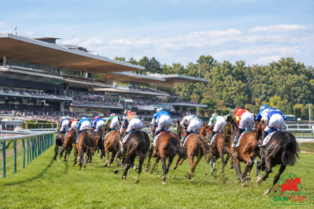 Le quinté aura lieu à Longchamp le mardi 13 octobre 2026