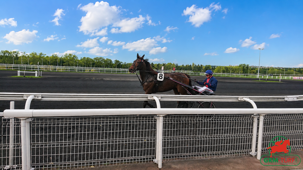 Le quinté aura lieu à Vincennes le samedi 29 août 2026