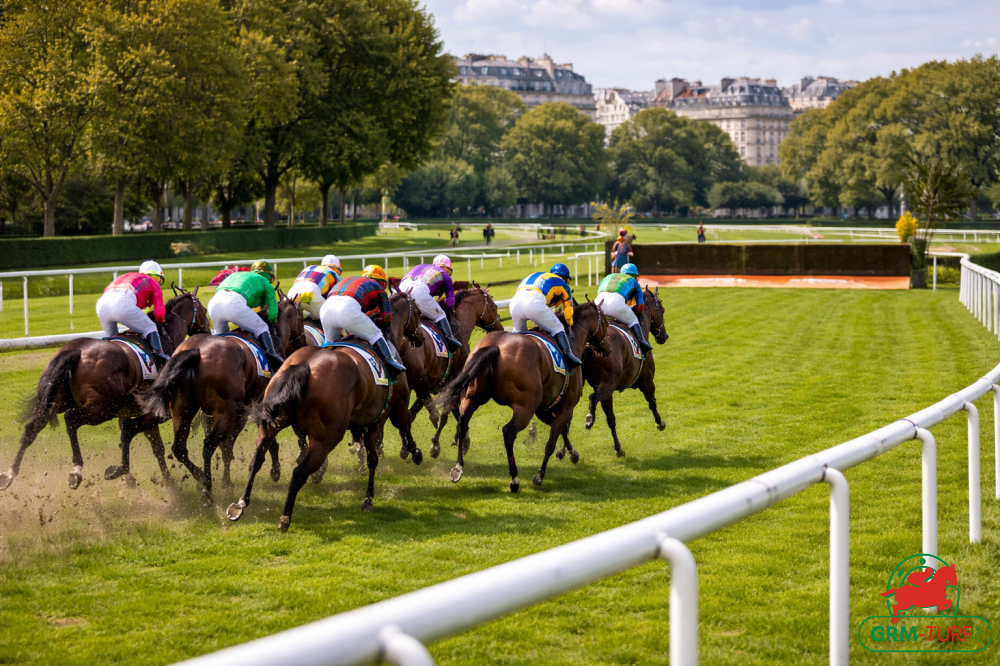 Le 3 est non partant dans le quinté d'Auteuil le lundi 13 avril 2026