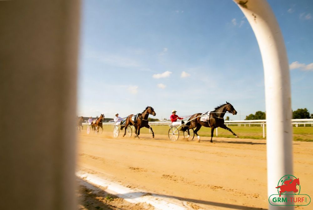 Le quinté aura lieu à Cabourg le vendredi 17 juillet 2026