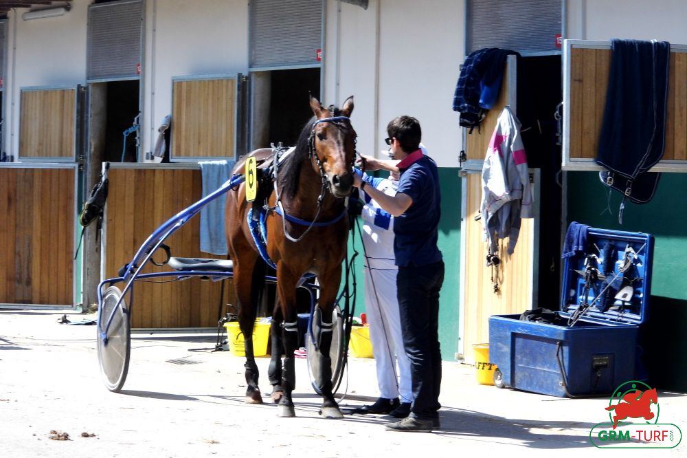 Le résultat des 14 étapes