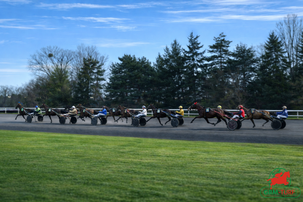 Le quinté aura lieu à Vincennes le dimanche 22 février 2026