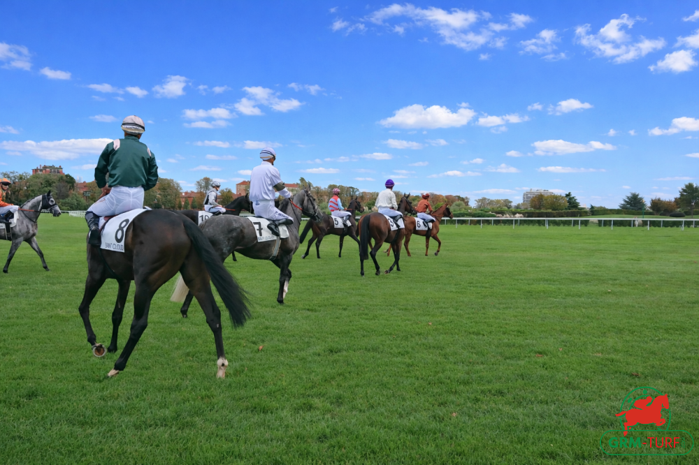 Le quinté aura lieu à Saint-Cloud le jeudi 19 mars 2026