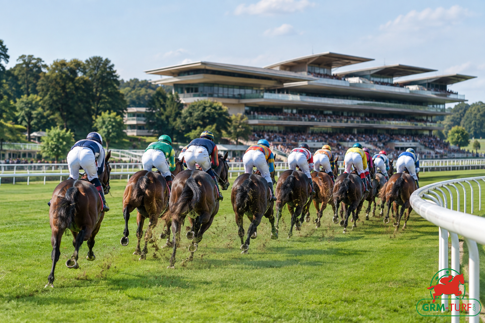 Le quinté aura lieu à Longchamp le dimanche 13 septembre 2026