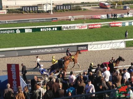 Le quinté sur l'hippodrome de la Côte d'Azur