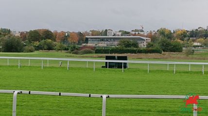 Courses et quinté à Saint-Cloud