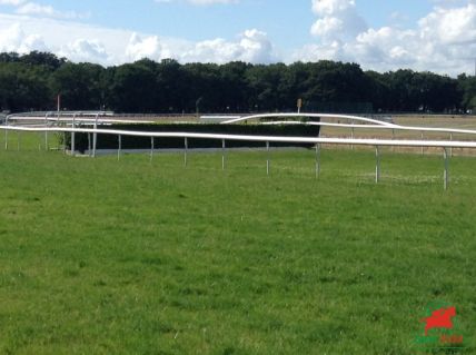 Quinté sur l'hippodrome de Compiègne