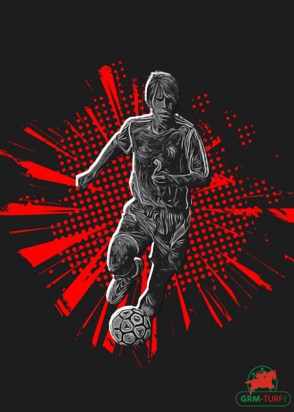 Pronostics football