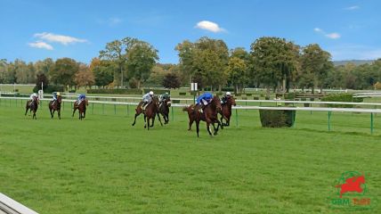 hippodrome