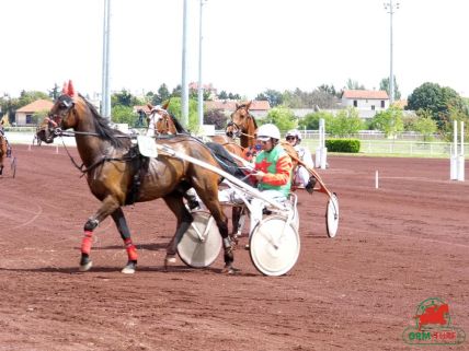 Le gagnant du quinté