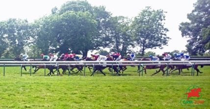 Courses et quinté à Auteuil