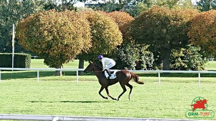 Quinté à Vichy