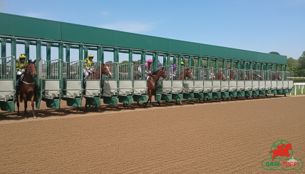 hippodrome de Chantilly