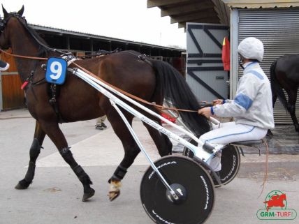 Hippodrome d'Enghien