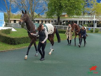 Quinté à Auteuil