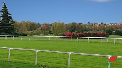 Quinté à Compiègne