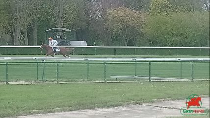 hippodrome de Longchamp