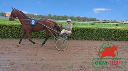 Quinté de Trot