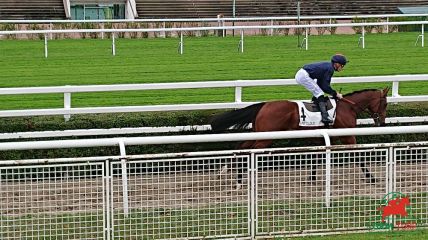Saint-Cloud