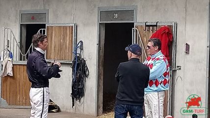 Quinté de Trot