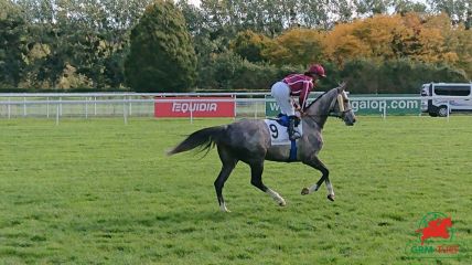 Courses à Deauville