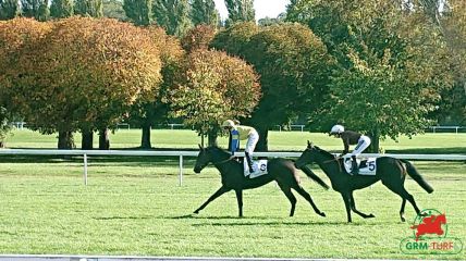 Quinté à Clairefontaine