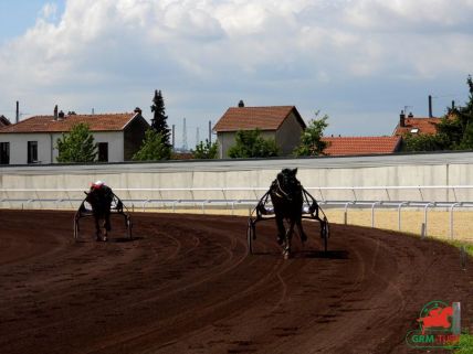 Quinté de Trot