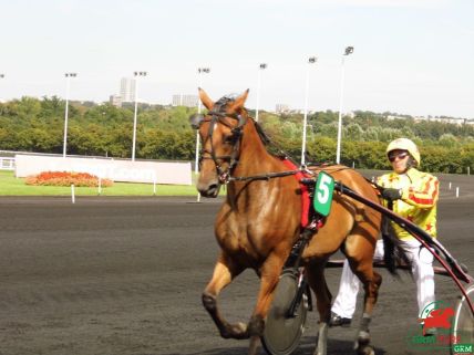 UPMAN sur la piste de Vincennes