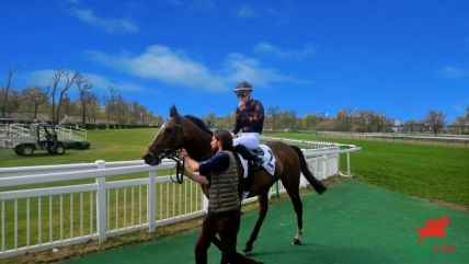 Chantilly