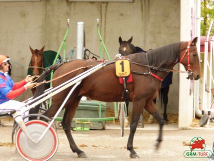 Le quinté , Hippodrome de Laval