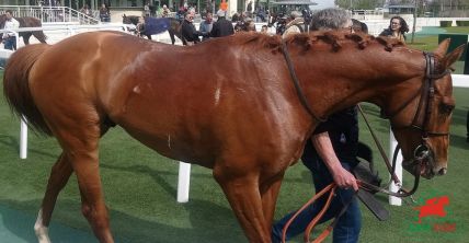 Quinté à Deauville