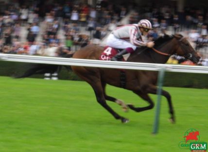 CIRRUS DES AIGLES, champion au galop