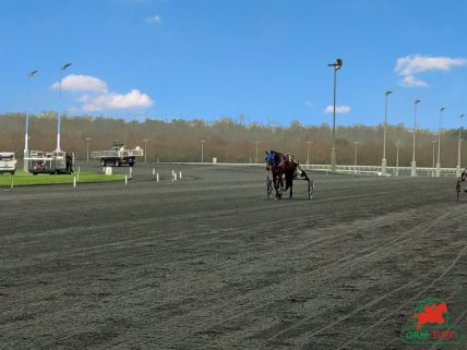 Quinté à Vincennes