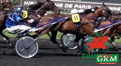 TIMOKO, Prix d'Eté