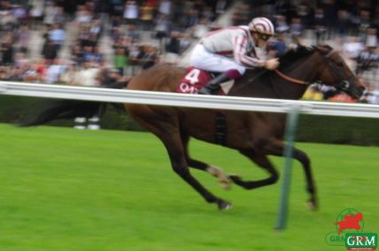 Le champion CIRRUS DES AIGLES