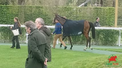 Le quinté à Deauville