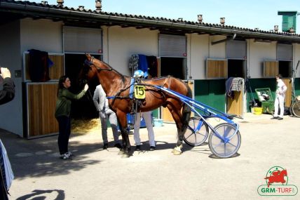GNT 2024