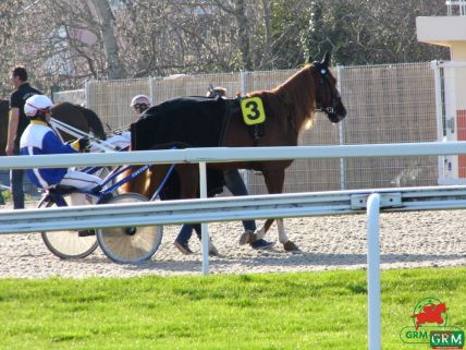 Nesta Effe à Cagnes