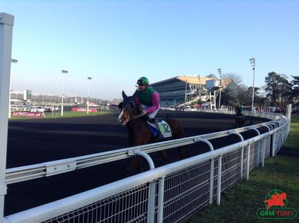 hippodrome de Vincennes courses