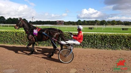 Trotteur hippodrome