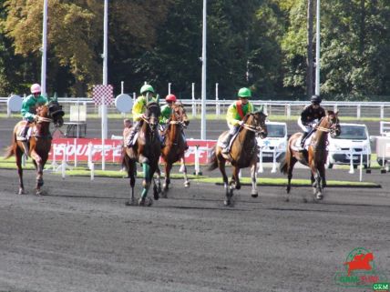 Trot monté à Vincennes