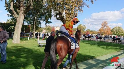 Quinté à Deauville