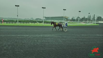 hippodrome de Vincennes courses