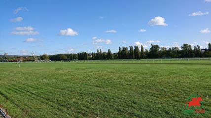 Quinté à Clairefontaine