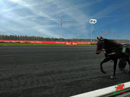 Quinté à Vincennes