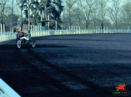 hippodrome de Vincennes courses